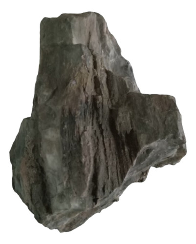 Corteza De Arbol Petrificado En Piedra Antigüedad 12mil Años
