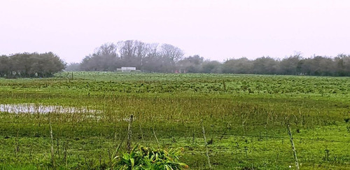 Imagen 13 de 21 de Campo En General Madariaga-