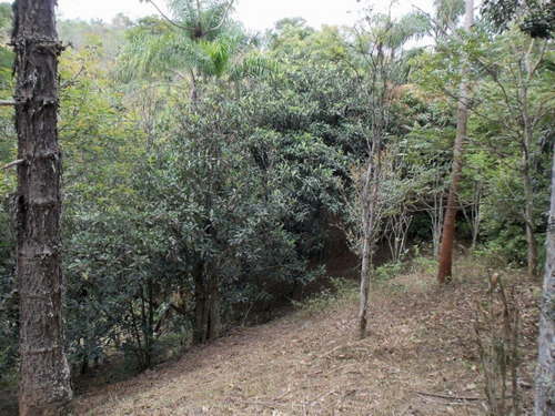 Imagem 12 de 14 de Linda Chacara A Beira Da Rodovia - Ch001/v