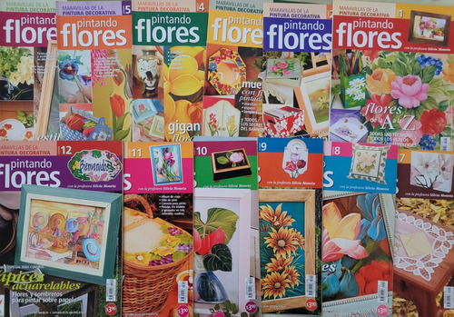 Colección 12 Revistas Pintando Flores