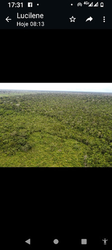 Fazenda Em Humaitá Amazonas!!!