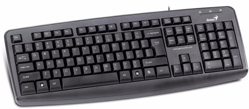 Teclado Genius Kb-110x Usb Black Datasoft En