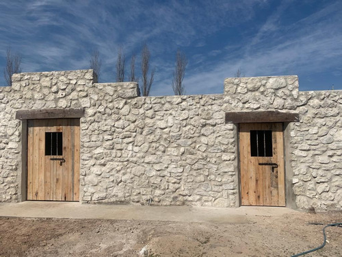 Imagen 2 de 30 de Viñedo Boutique, Totalmente Productivo, Con Casa Y Cava