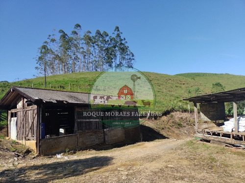 Imagem 22 de 28 de Fazenda À Venda No Vale Do Ribeira Sp Medindo 87,5 Alqueires Paulista Ref0978