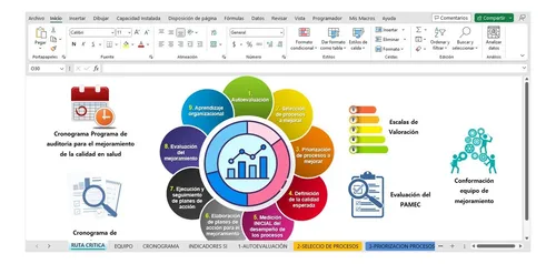 Formato Registro Ruta Crítica Pamec - Sistema Información