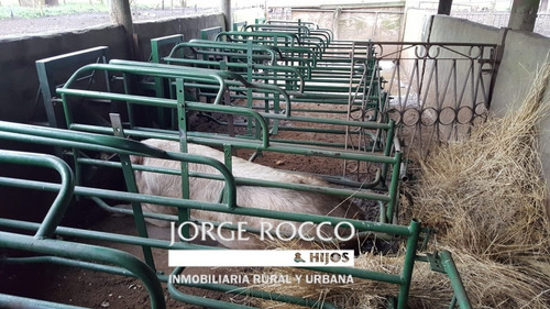 Imagen 10 de 10 de 185 Has. Mixtas, Próximas A Bavio - Pdo. De Magdalena