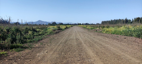 Imagen 6 de 10 de Parcelas 5.000 M2, En Isla De Maipo