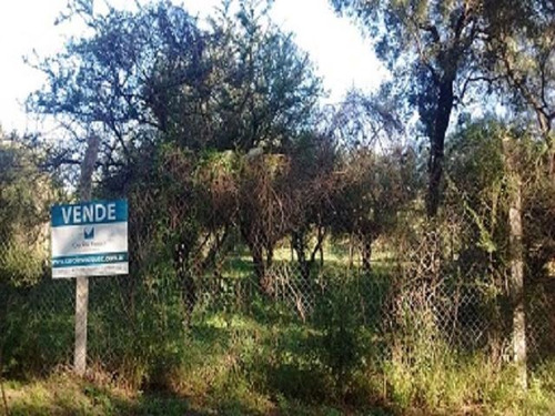 Imagen 2 de 4 de Terreno En Venta Mendiolaza Golf
