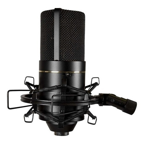 Imagen 4 de 8 de Microfono Condenser Para Estudio Mxl 770