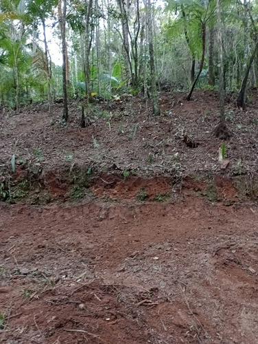 Terreno, Área Total: 3.100 M², Com Platô, 70% De Área Aproveitável, Próx Est Borba Gato, Bairro Itaquaciara, Itapecerica Da Serra-sp