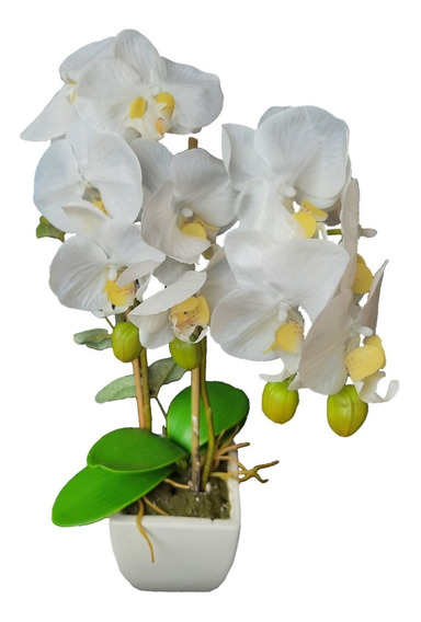 Orquideas Artificiales | MercadoLibre 📦