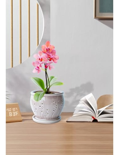 Macetas Para Orquídeas Con Agujeros, Maceta De Orquídeas De
