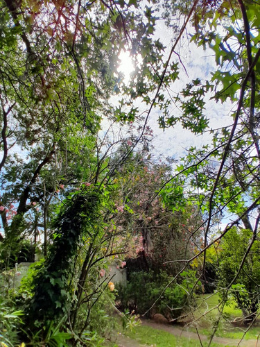 Terreno En Barrio El Cazador