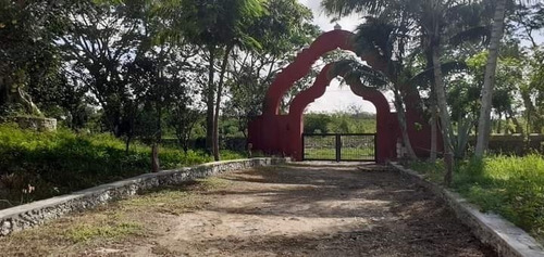 Imagen 1 de 20 de Espectacular Hacienda En Tekit