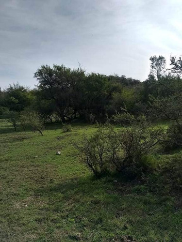 Imagen 7 de 29 de Venta Campo Falda Del Cañete-8,5 Has- Con Vista