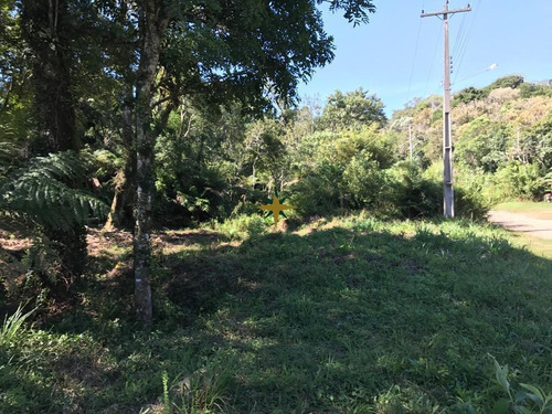 Imagem 4 de 5 de Terreno - 969