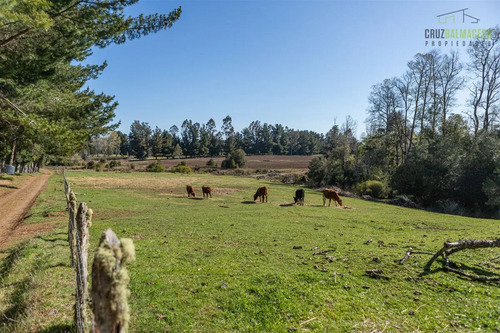 Agrícola En Venta En Fresia