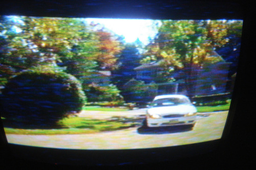 Vhs Flores Rotas (sin Caja Original) (Usado)
