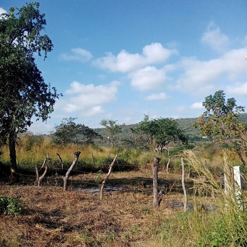 Terreno En Venta En El Sabino Al Norte Poniente De Berriozábal