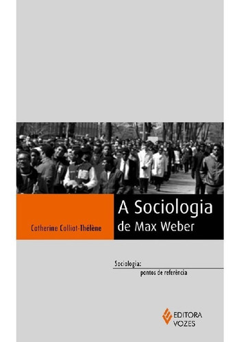 Sociologia De Max Weber: Sociologia De Max Weber, De Colliot-thélène, Catherine. Editora Vozes, Capa Mole, Edição 1 Em Português