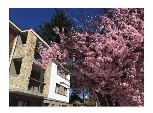 Imagen 7 de 7 de En Venta Excelente Departarmento Monoambiente Amueblado Centro En San Martin De Los Andes