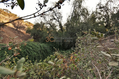 Imagen 23 de 30 de Inmobiliaria / Colegio Mayflower / Terreno Para Proyecto