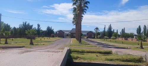 Terreno / Lote En San Rafael Mendoza Barrio Cerrado Viñas Del Sur