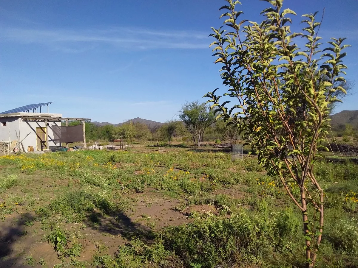 Terreno 12.8 Hectáreas En Parras, Coahuila