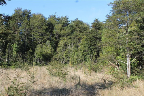 Imagen 20 de 30 de Agrícola En Venta En Puerto Varas