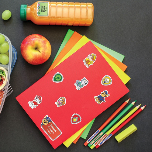 Imagem 2 de 3 de Etiquetas Escolares Patrulha Personalizadas Coloridas Jumbo