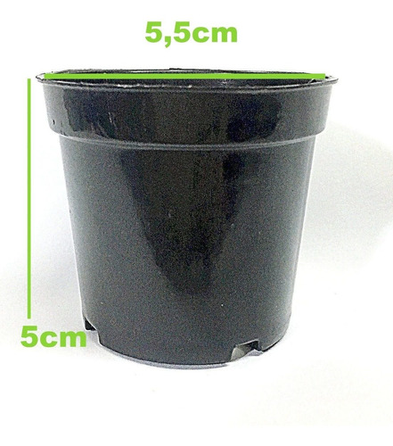 100 Mini Vasos Plastico 5,5cm P /suculentas-cactos Lj Alfa