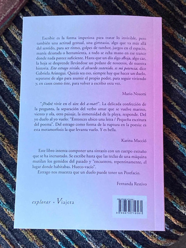 Imagen 3 de 5 de Libro Estrago De Gabriela Aristegui Por Viajera Editorial