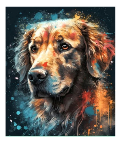 C Kit De Pintura De Diamante Diy 5d 30x40 Perro Labrador