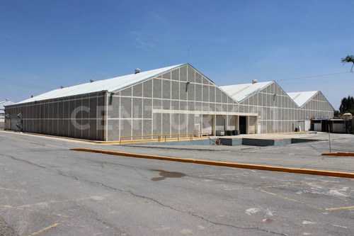 Bodegas En Venta 50,000 M2, Complejo Cerca Autopista Mex-pue, Tlaxcala