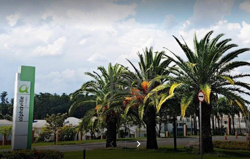 Imagem 4 de 30 de Terreno Aplhaville Dom Pedro - Te1001