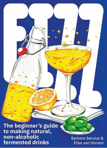 Fizz: A Beginners Guide To Making Natural, Non-alcoholic Fer