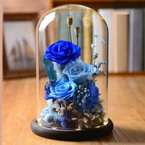 W Cubierta De Exhibición Para Plantas Y Flores De Campana 2x
