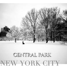 Libro Central Park New York City Winter Wonderland Blank ...