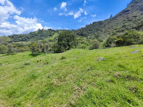 Lote En Copacabana Vereda El Zarzal