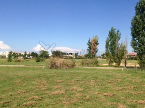 Imagen 7 de 8 de Terreno En Venta Ubicado En El Golf, Nordelta