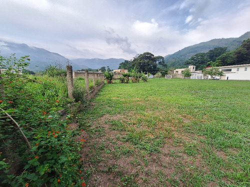 Se Vende Terreno En La Cumaca, San Diego, Jct-499