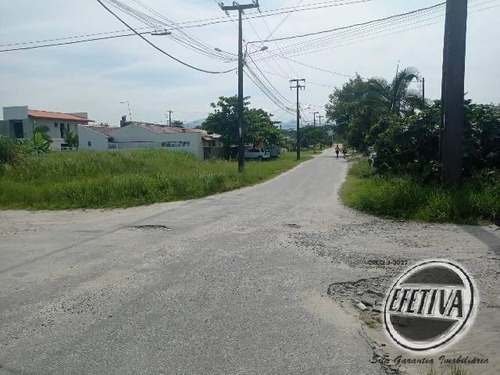 Imagem 4 de 9 de Terreno 360 M² - Balneário Betaras - 647t