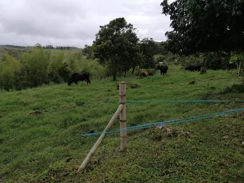 Vendo Finca En Restrepo Valle