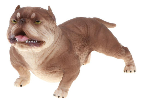 Pitbull Modelo