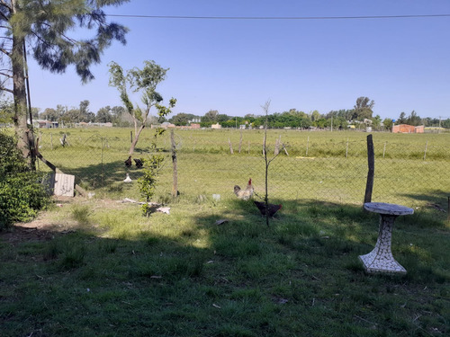 Campo, El Martillo, Marcos Paz.