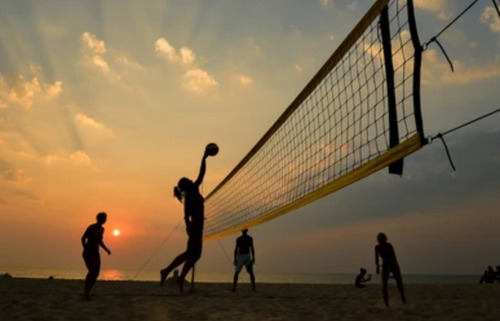 Red De Voleibol Escolar Sencilla N-101 Plus
