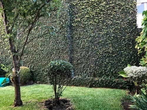 Imagen 2 de 9 de Enamorada Del Muro 6 Plantas - Entrega Gratis Amba