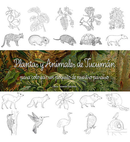 At- Lte- Inf-  Plantas Y Animales De Tucumán Para Colorear