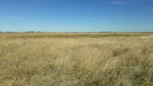 Fazenda Com 4.200 Hectares Para Lavoura E Pecuária - Rs