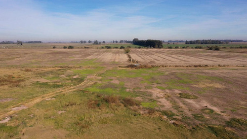 Imagen 2 de 4 de Campo Mixto De 60 Has A La Venta En Navarro